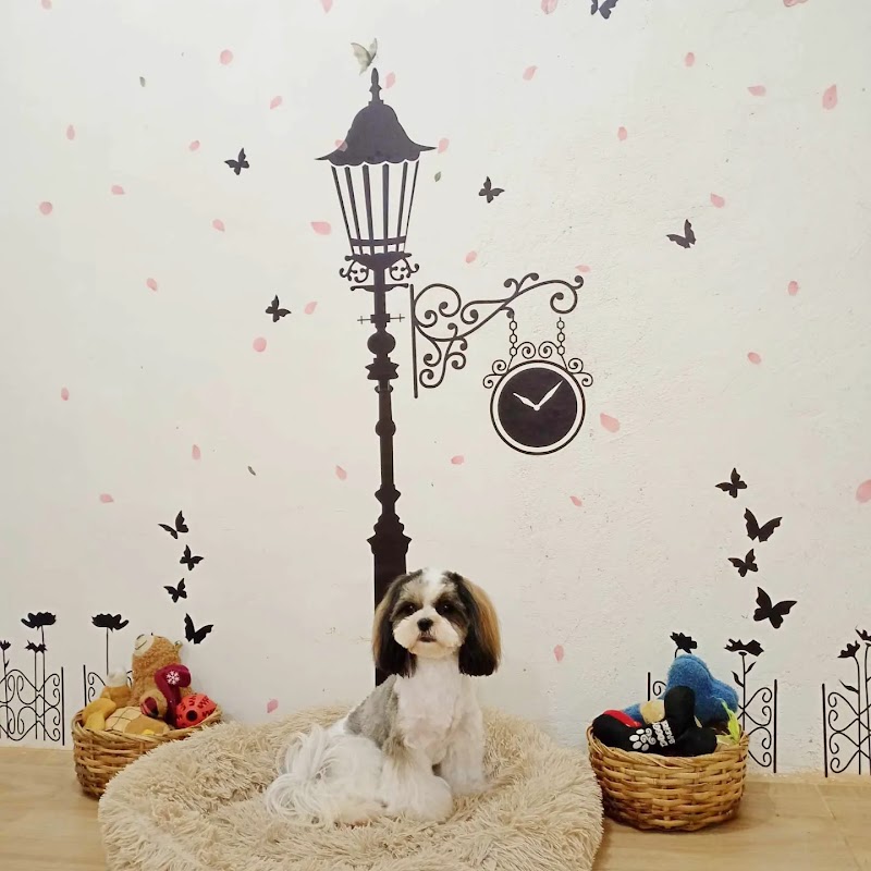 Adorafur Happy Stay — photo