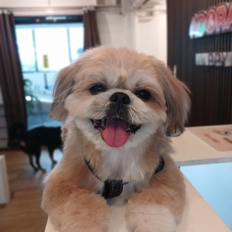 Adorafur Happy Stay — photo