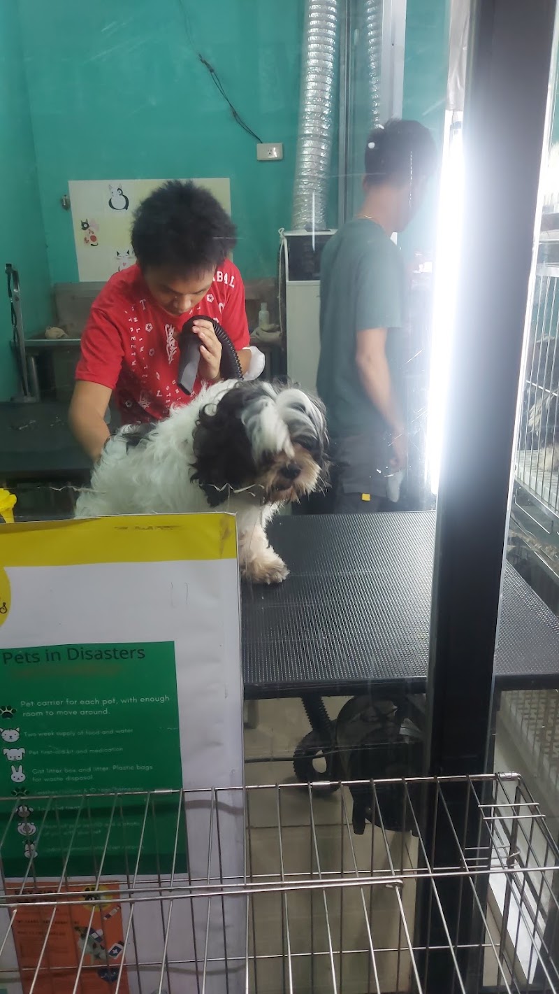 Animal Care Specialists Veterinary Clinic (Tiendesitas) — photo
