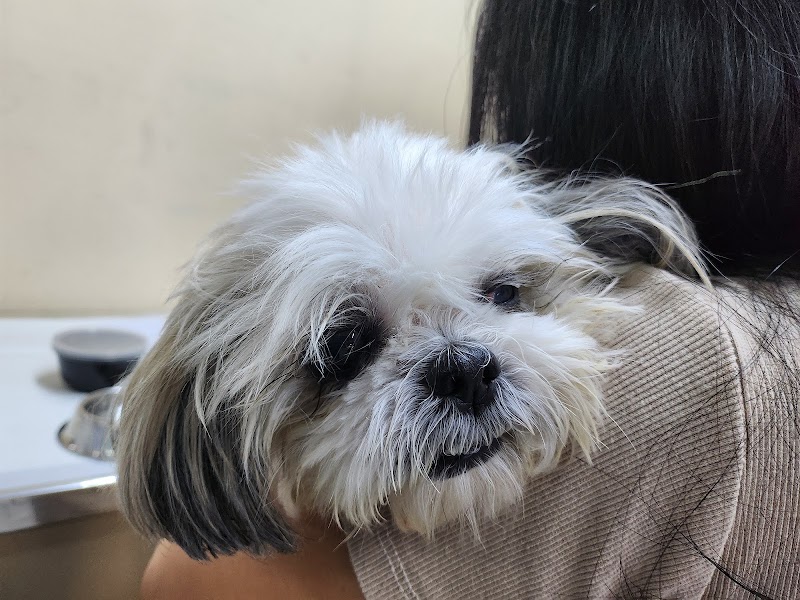 Animal House Alabang — photo