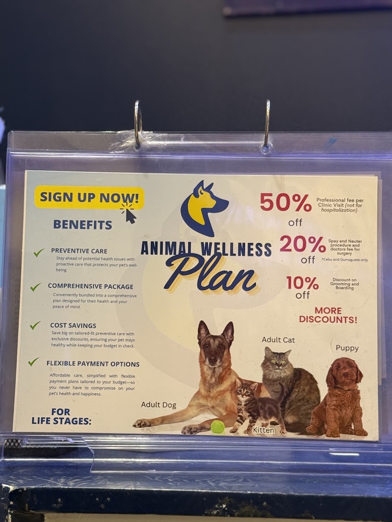 Animal Wellness Veterinary Clinic - BGC — photo