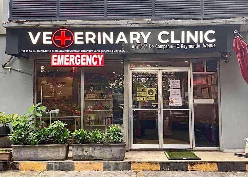 Animales De Compania Veterinary Clinic - C. Raymundo Ave — photo