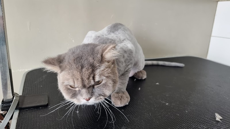 Animed Veterinary Hospital — photo