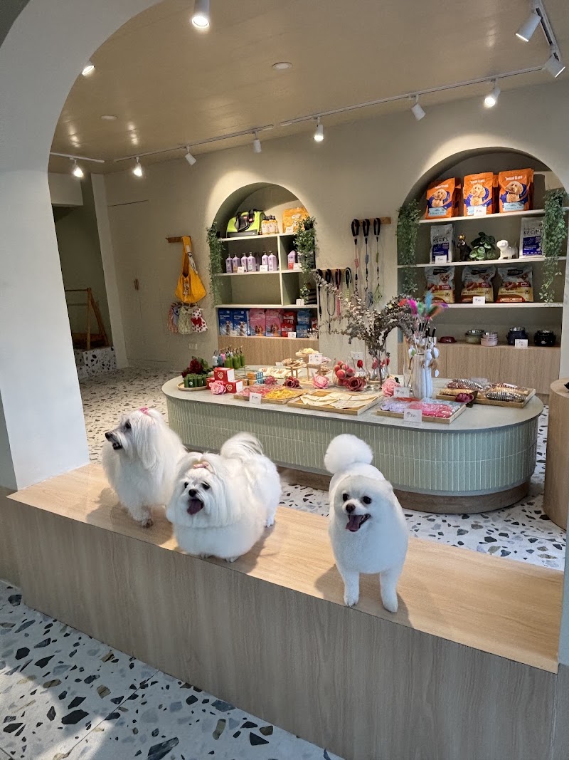 Aromapet Luxury Grooming and Hotel — photo