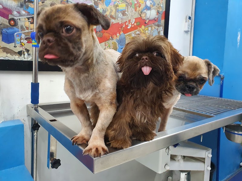 Bark and Meow Pet Shop and Veterinary Clinic — photo