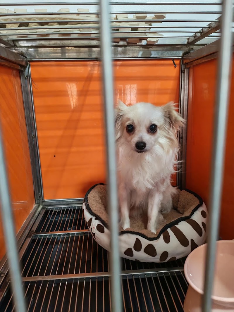 Bark and Meow Pet Shop and Veterinary Clinic — photo