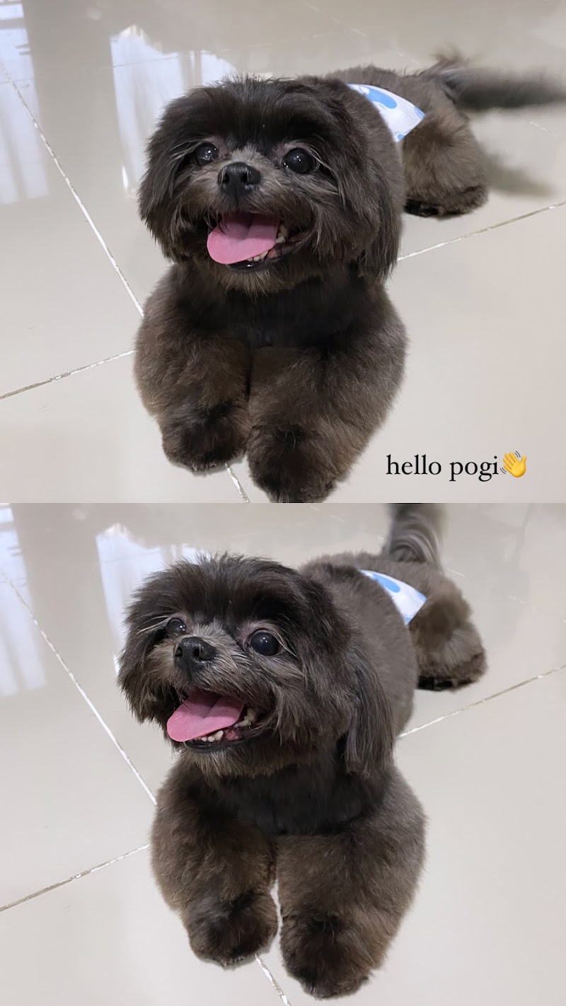 Bark 'N Purr Pet Grooming Service — photo