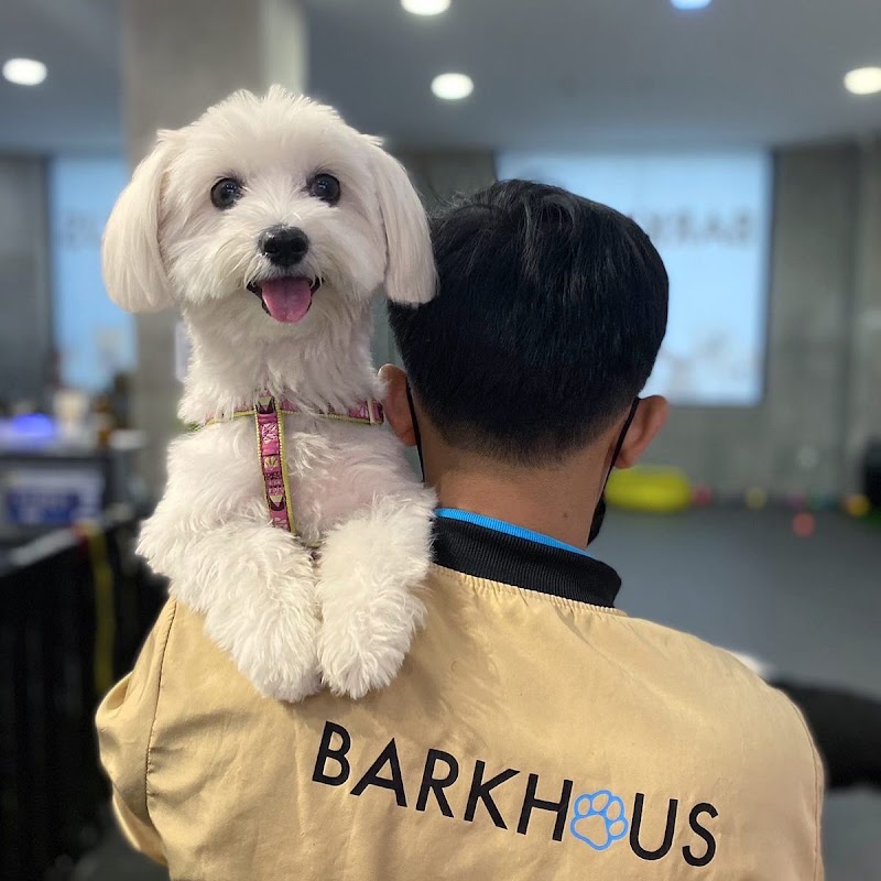 Barkhaus Pet Services Estancia — photo