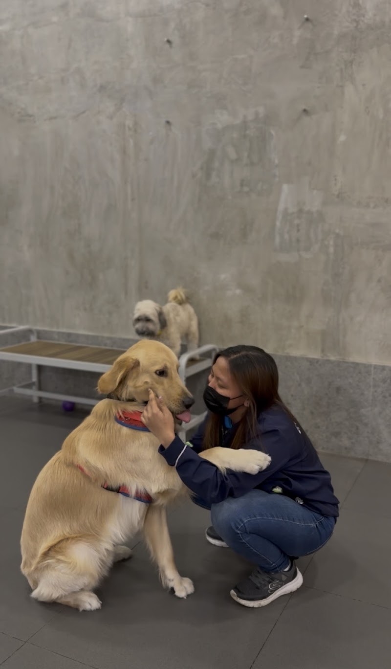 Barkhaus Pet Services Estancia — photo