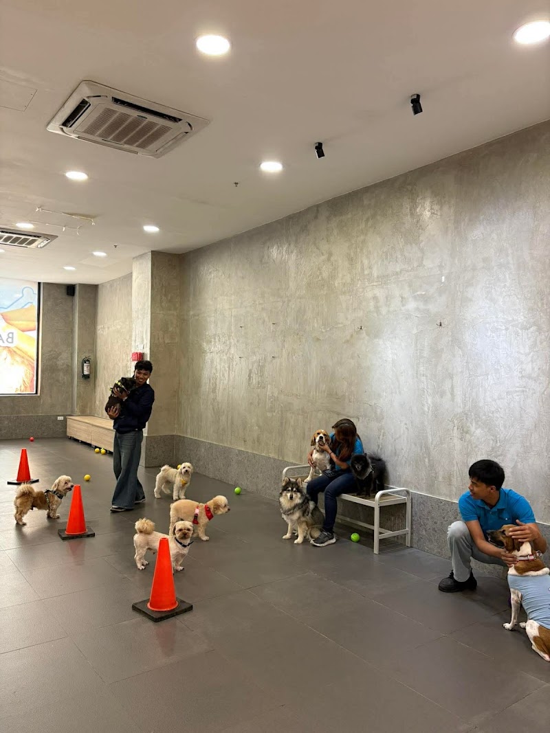 Barkhaus Pet Services Estancia — photo