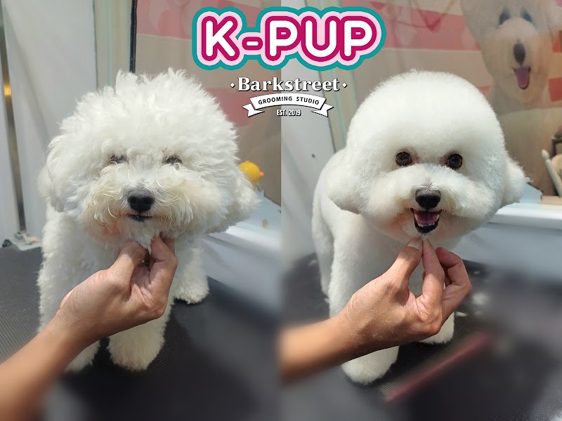 Barkstreet Grooming Studio White Plains (St. Ignatius) QC branch — photo