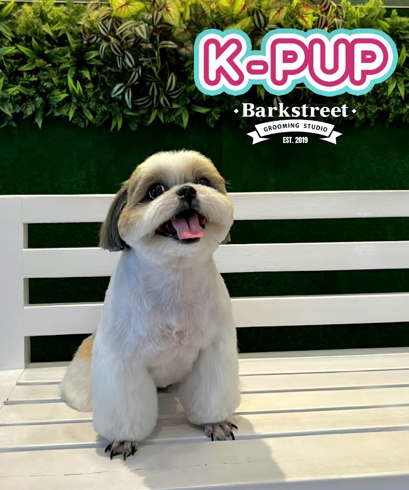 Barkstreet Grooming Studio White Plains (St. Ignatius) QC branch — photo