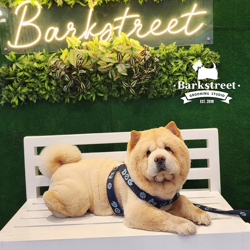 Barkstreet Grooming Studio White Plains (St. Ignatius) QC branch — photo