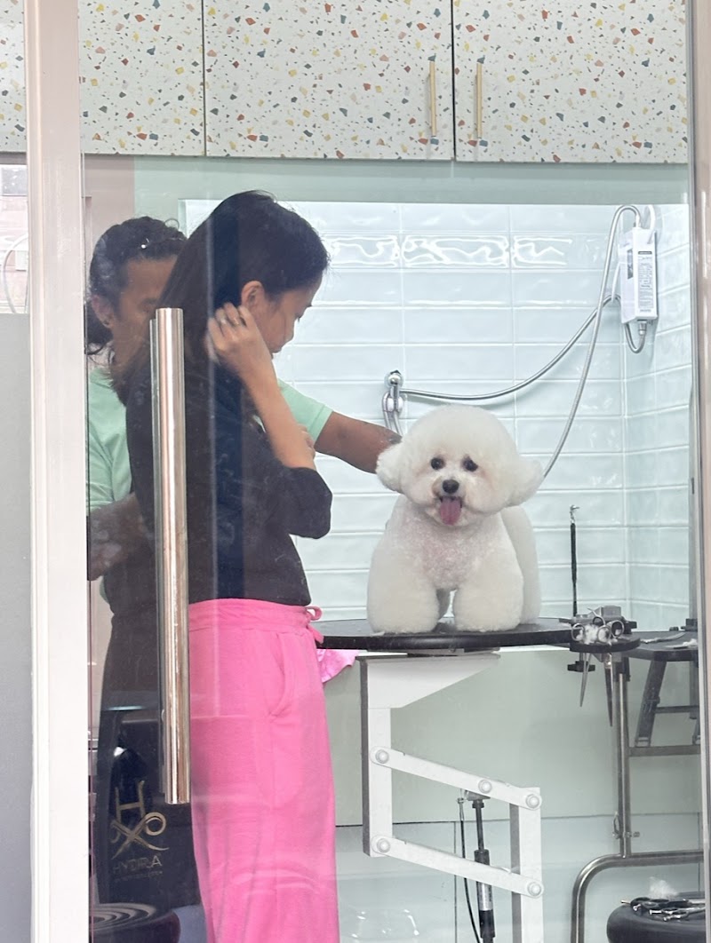 Bath and Cuddles Pet Salon and Hotel — photo