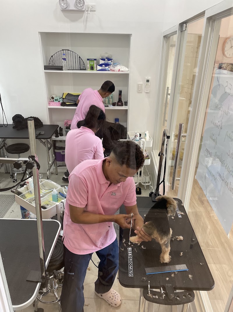 Bath and Cuddles Pet Salon and Hotel — photo