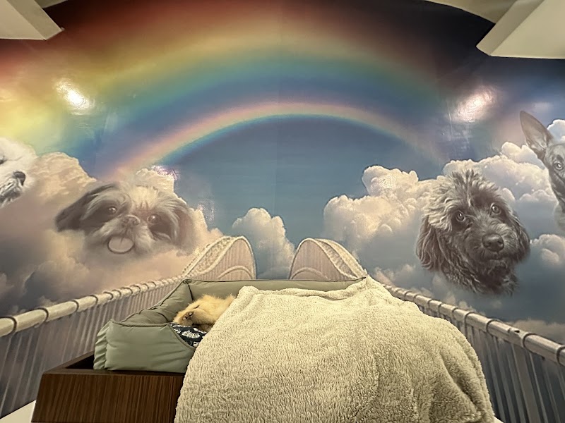 Beloved Pets Memorial Place — photo
