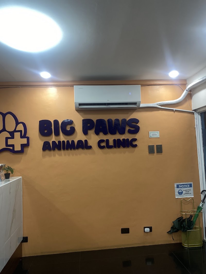 Big Paws Animal Clinic — photo