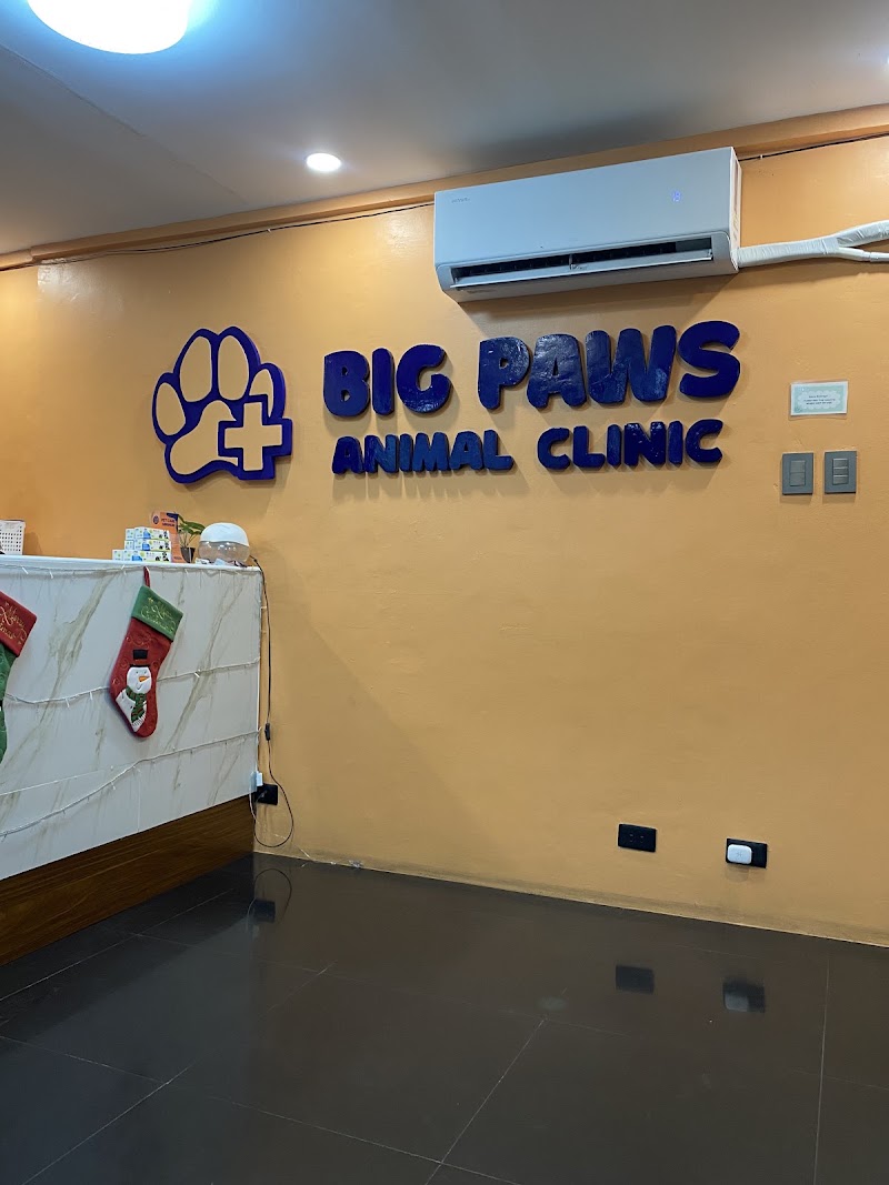 Big Paws Animal Clinic — photo