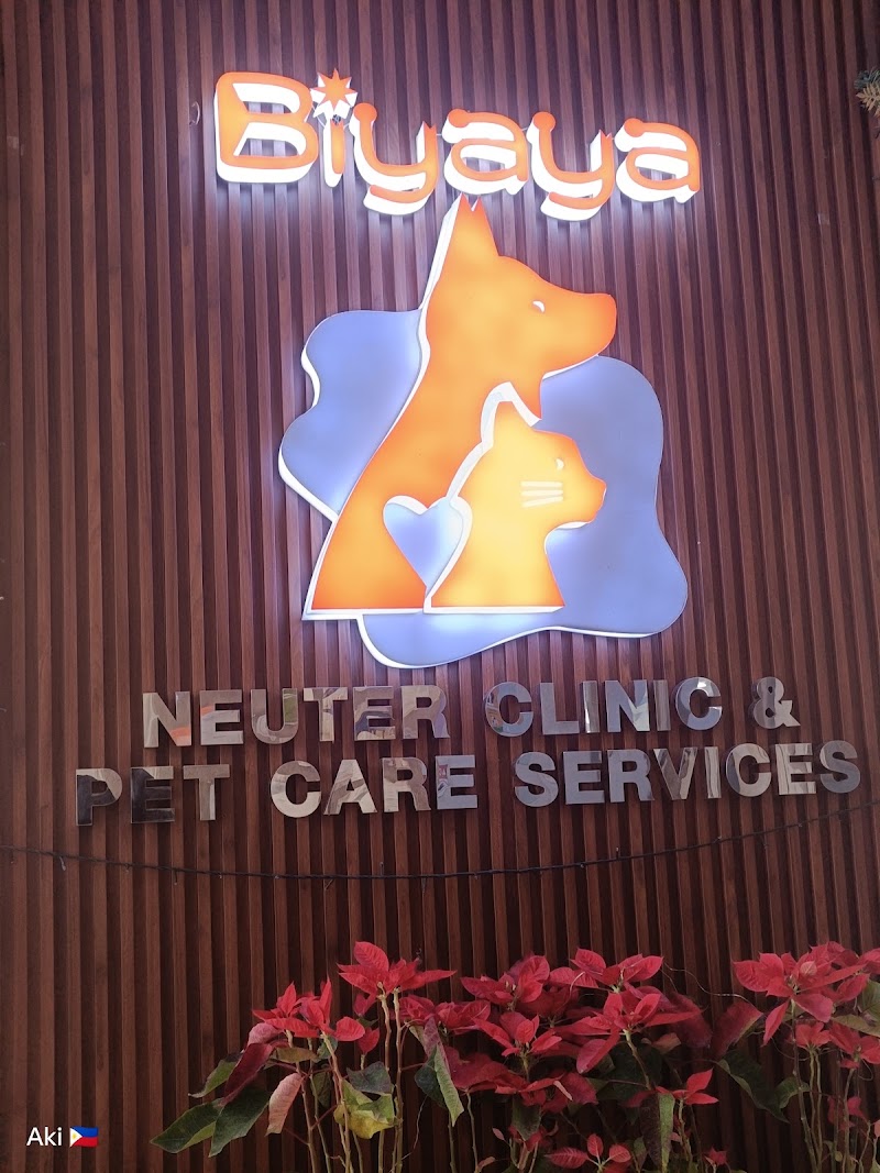 Biyaya Animal Care - Katarungan (Spay & Neuter Clinic) — photo