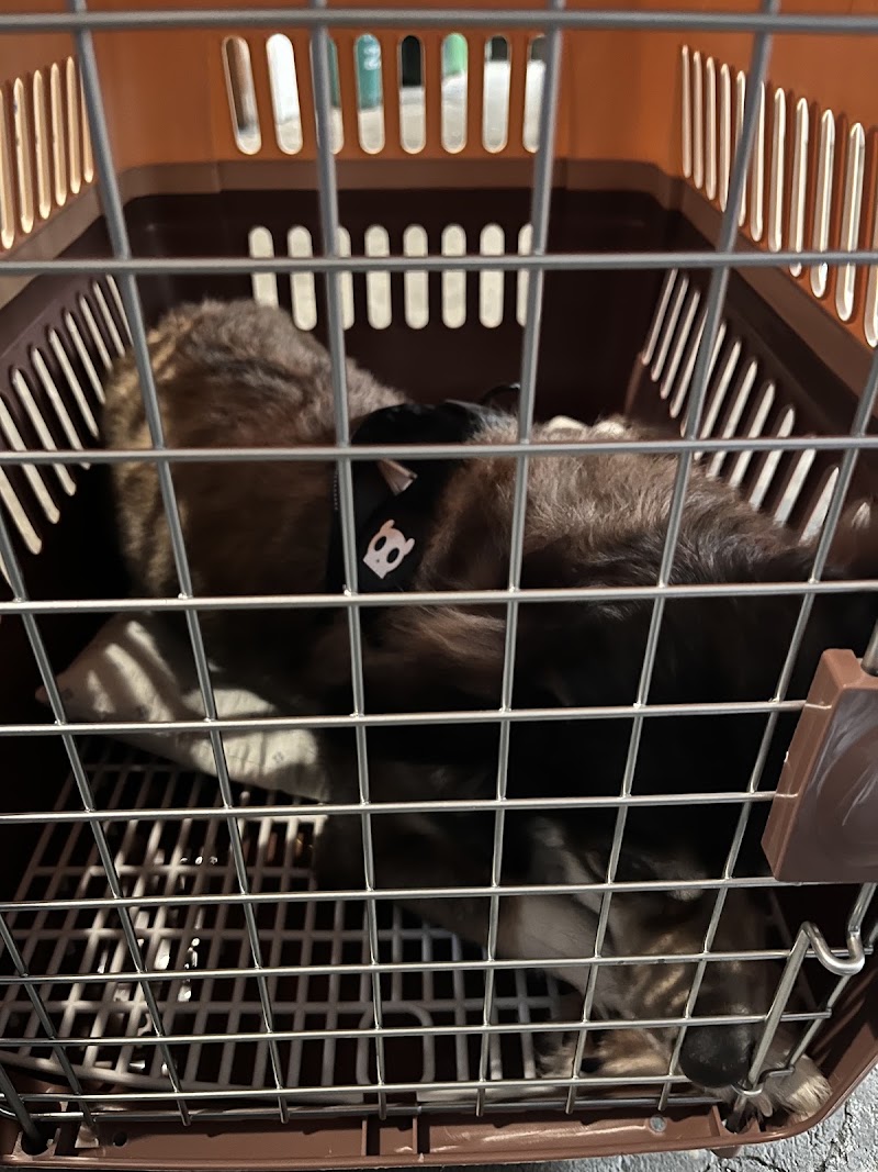 Biyaya Animal Care - Katarungan (Spay & Neuter Clinic) — photo