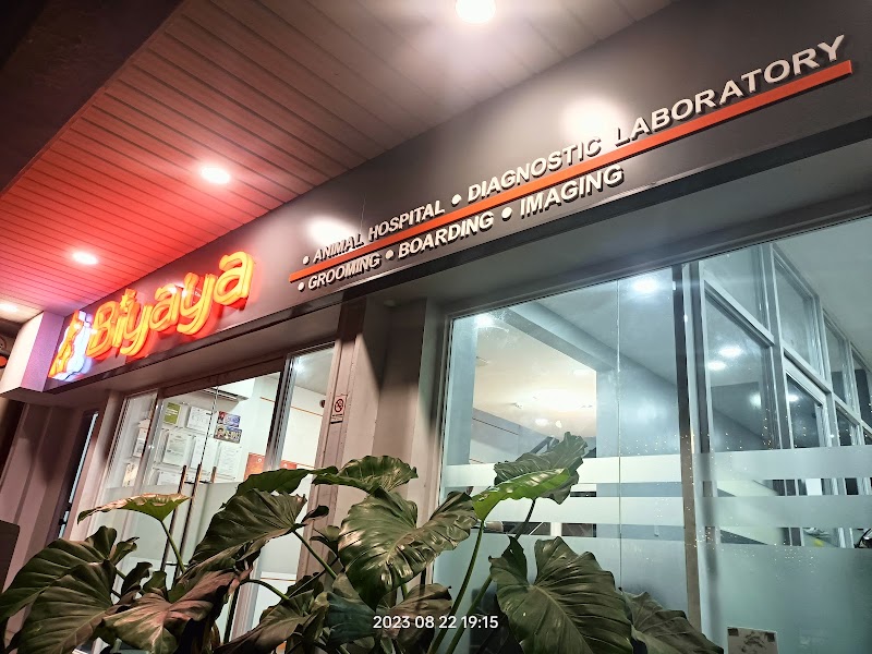 Biyaya Animal Care - Mandala (Pet Hospital) — photo