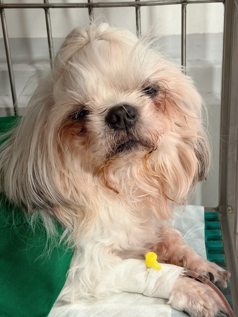 Blessed Veterinary Clinic — photo