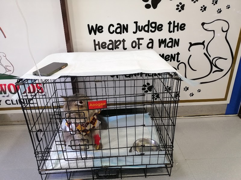 Bretton Woods Veterinary Clinic & Distemper Recovery Center — photo