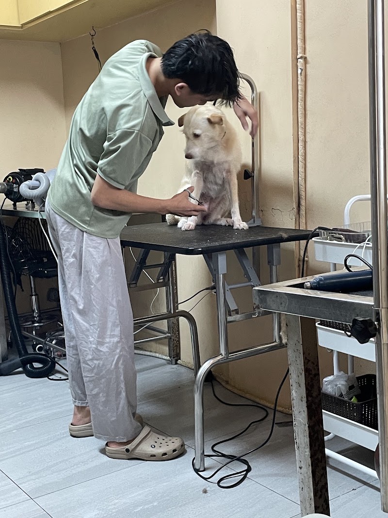 Charlie's Pet Grooming & Hotel - Ermita — photo