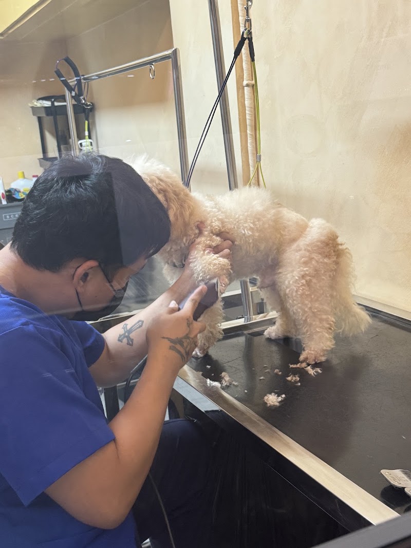 Charlie's Pet Grooming & Hotel - Ermita — photo