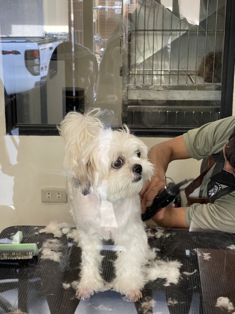 Charlie’s Pet Grooming & Hotel - Evangelista — photo