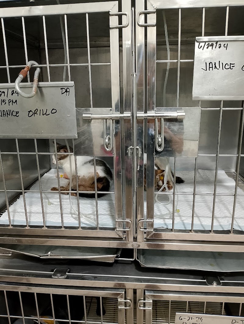 Congressional Animal Clinic inc — photo