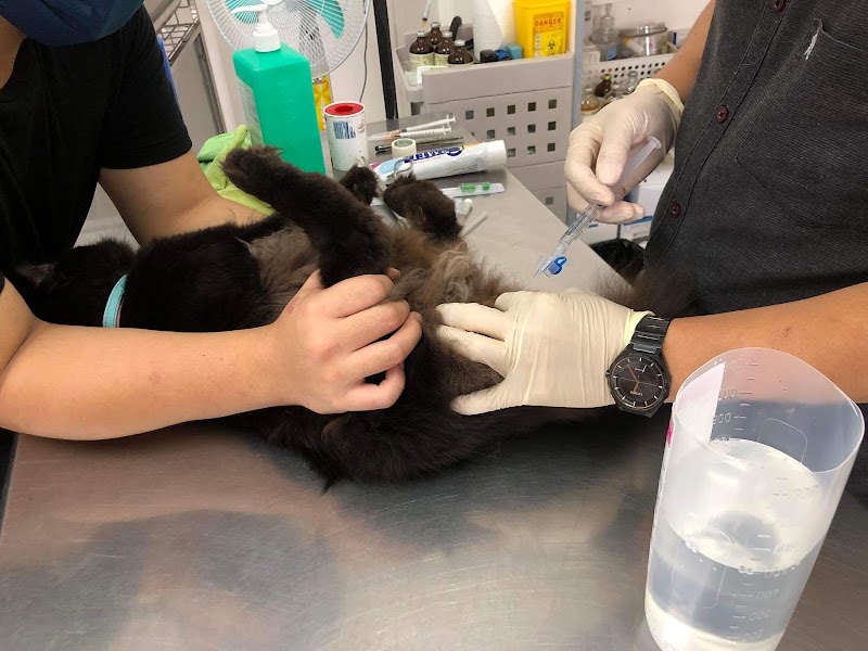 Congressional Animal Clinic inc — photo