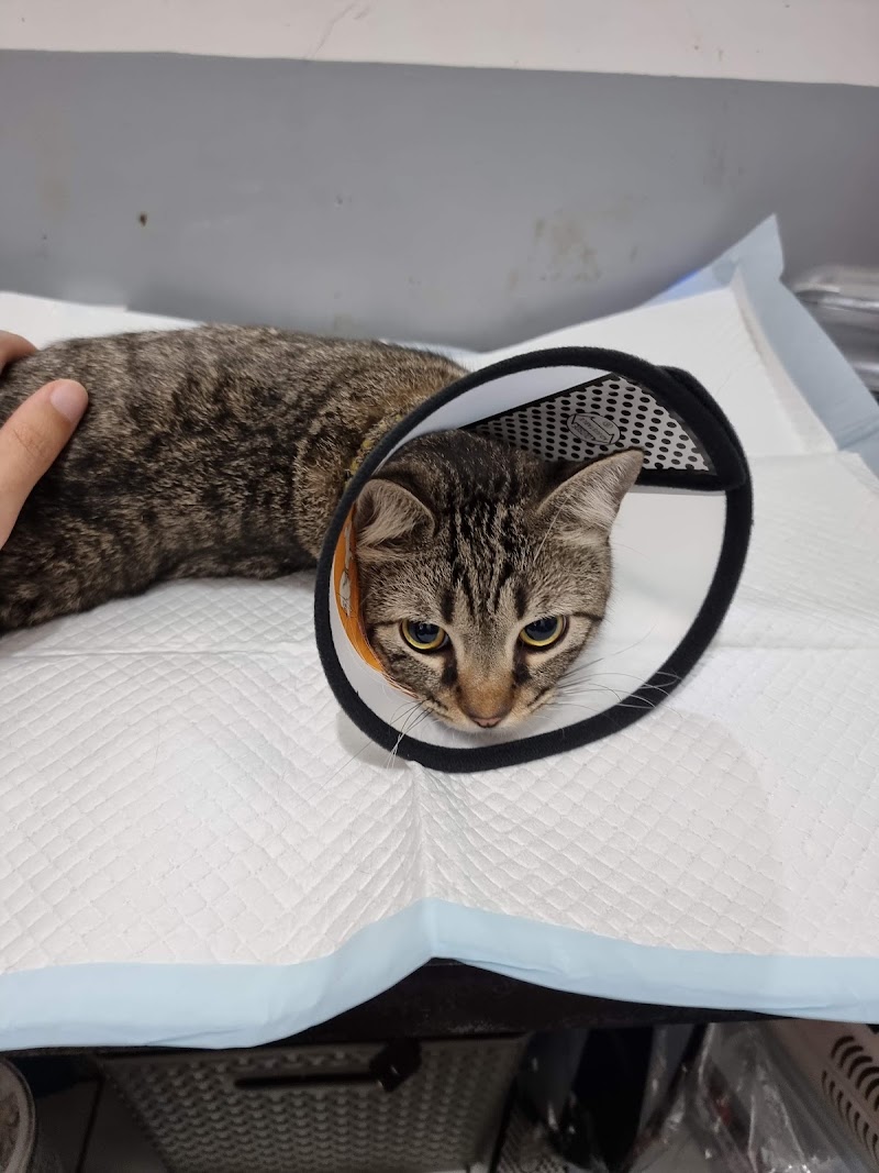 CuraPet Animal Clinic — photo