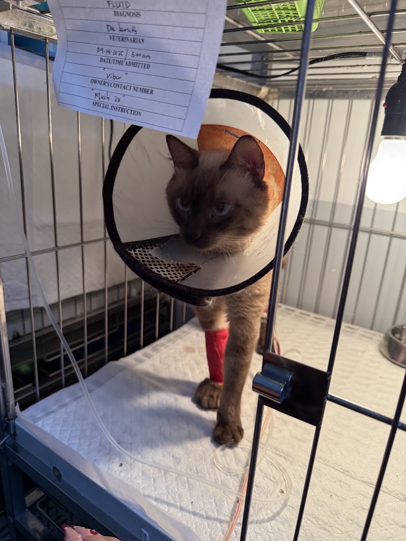 CuraPet Animal Clinic — photo