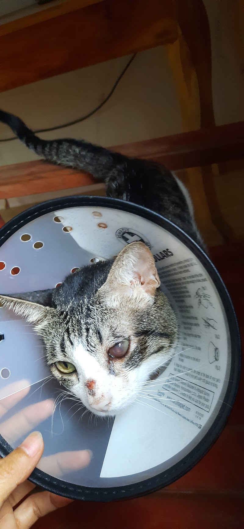 Doc Ferds Animal Wellness Center — photo
