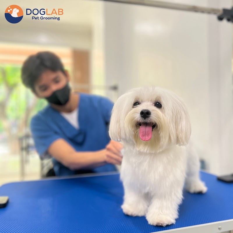 DOGLAB Pet Grooming — photo