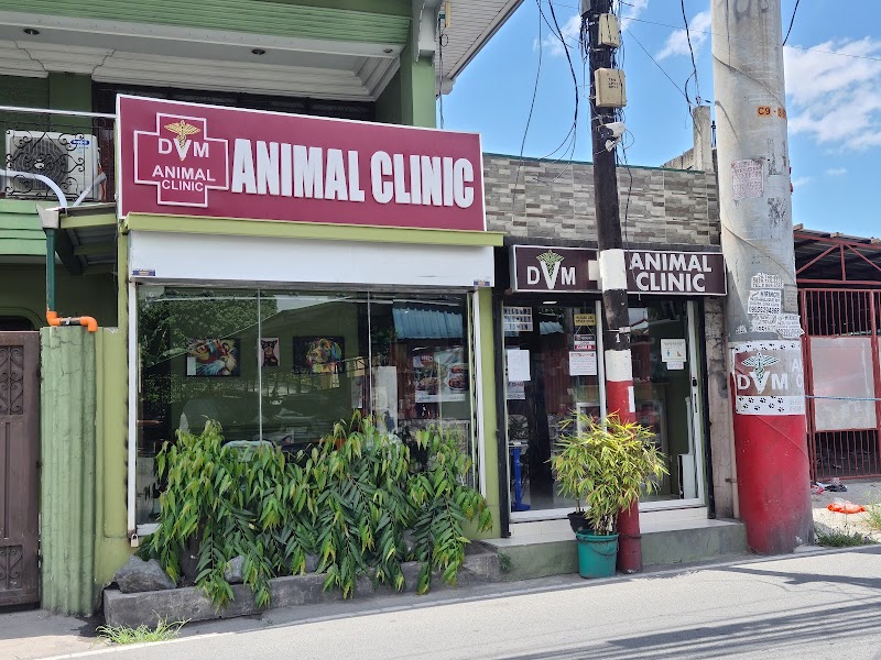 DVM Animal Clinic — photo