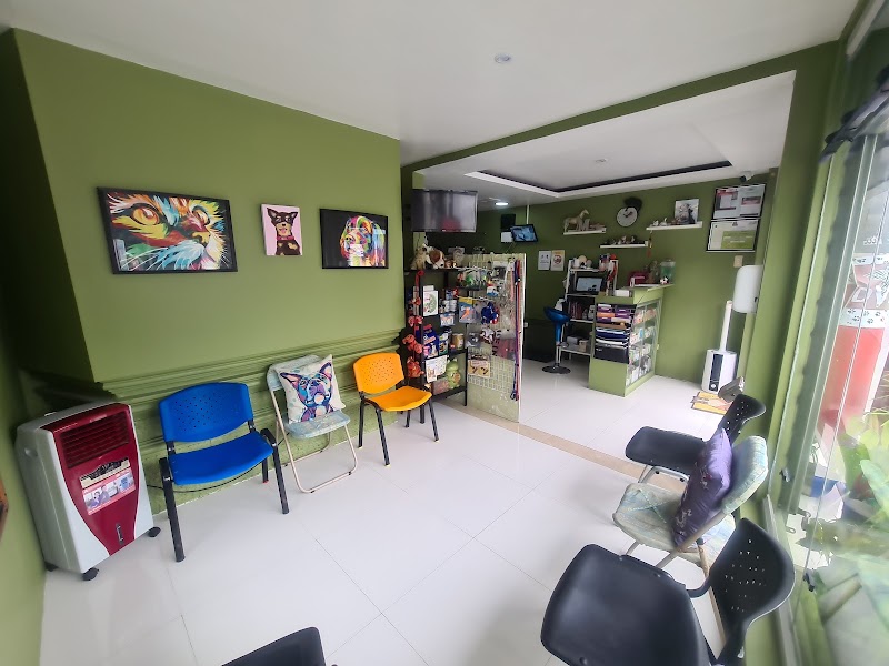 DVM Animal Clinic — photo