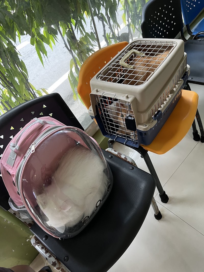 DVM Animal Clinic — photo