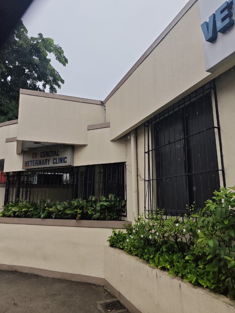 ES General Veterinary Clinic — photo