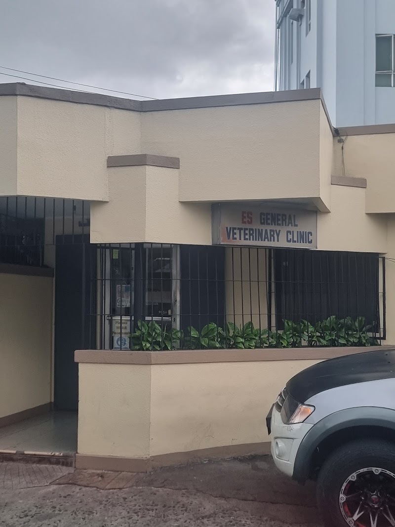 ES General Veterinary Clinic — photo