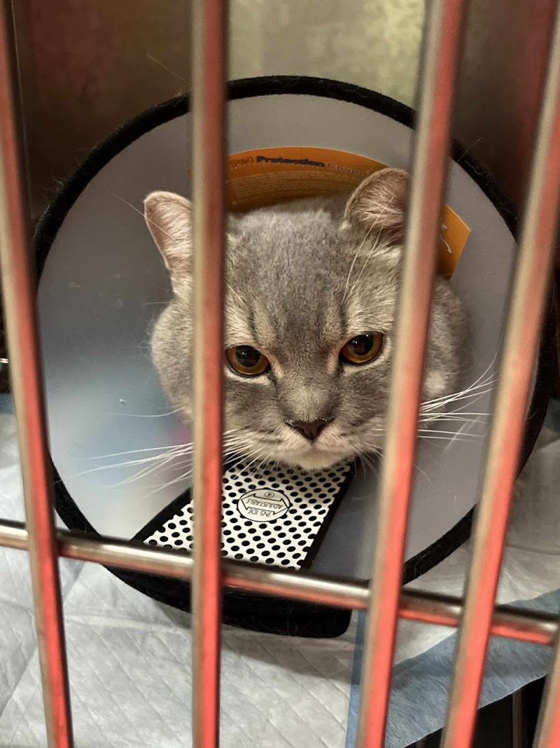Four Paws Animal Wellness and Hospital Corp — photo