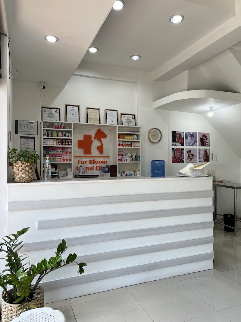 Fur Bloom Animal Clinic — photo