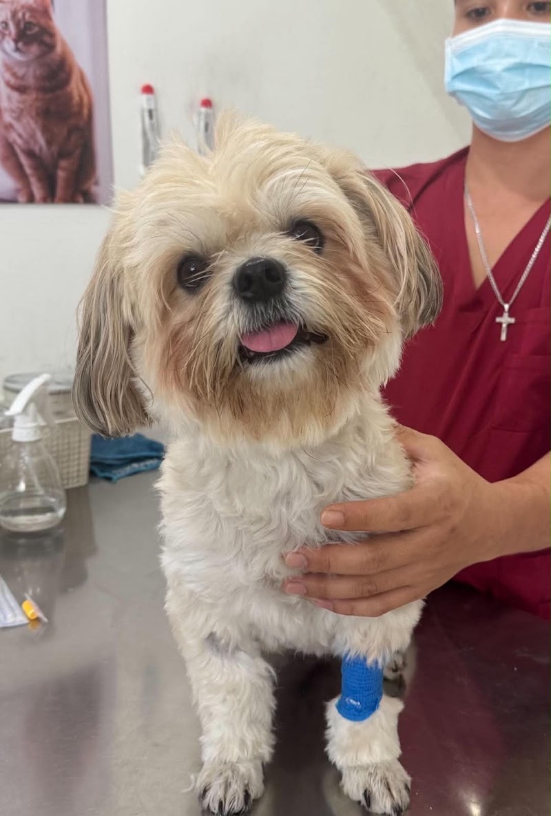 Fur Bloom Animal Clinic — photo