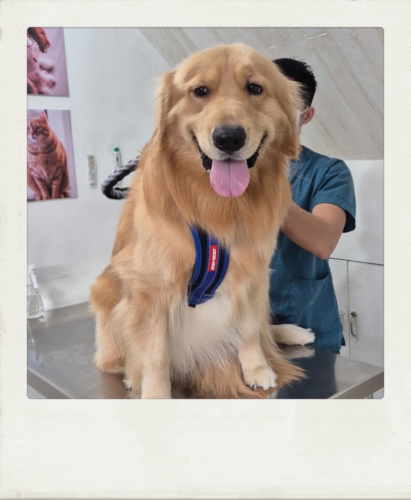 Fur Bloom Animal Clinic — photo