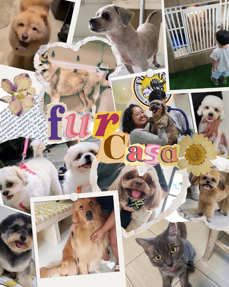 Fur Casa: Pet Hotel, Grooming & Supplies — photo