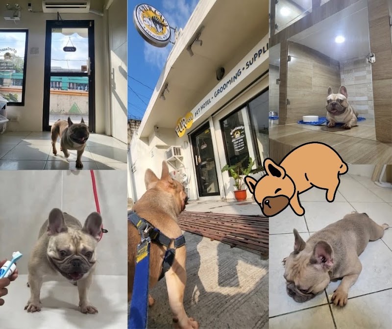 Fur Casa: Pet Hotel, Grooming & Supplies — photo