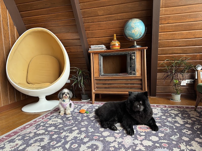 Fur So Chic Premium Pet Salon - E. Rodriguez — photo