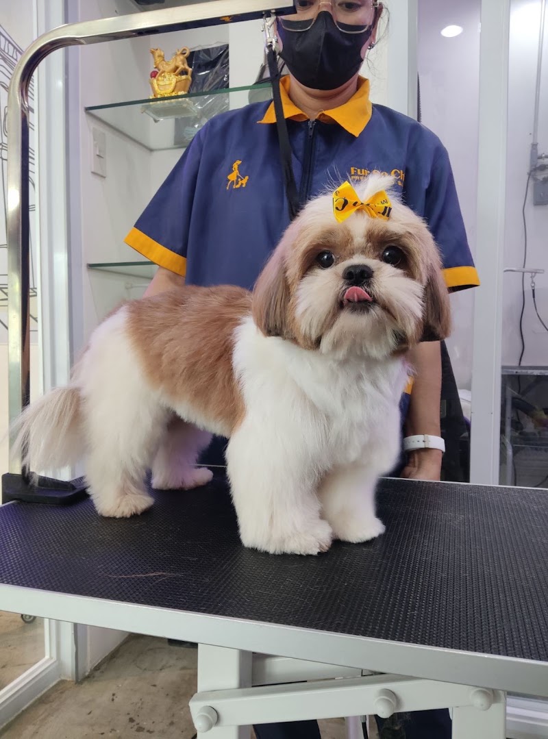 Fur So Chic Premium Pet Salon - E. Rodriguez — photo