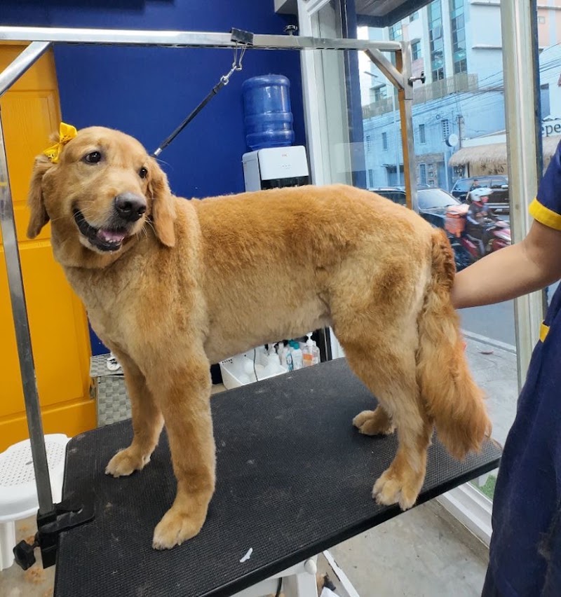 Fur So Chic Premium Pet Salon - Sct. Tobias — photo